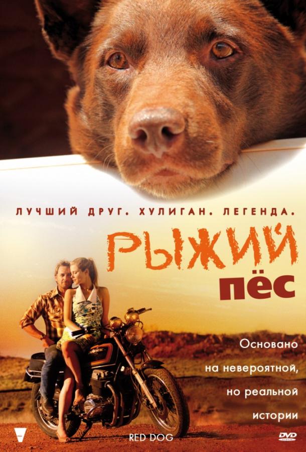 Фильм Рыжий пес 2011 года смотреть онлайн с Рэйчел Тейлор и Люком Фордом
